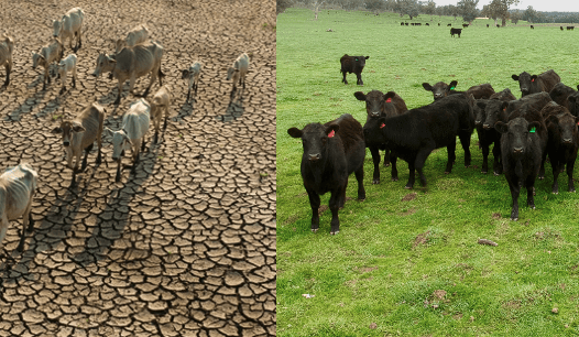 BOM defends El Nino forecast after widespread criticism