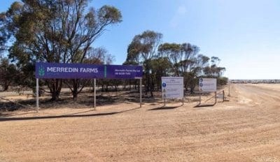WA scale for sale as SALIC, PenAgri list Merredin Farms