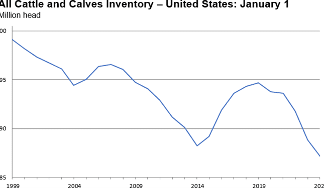 US cattle inventory hits lowest level since 1951