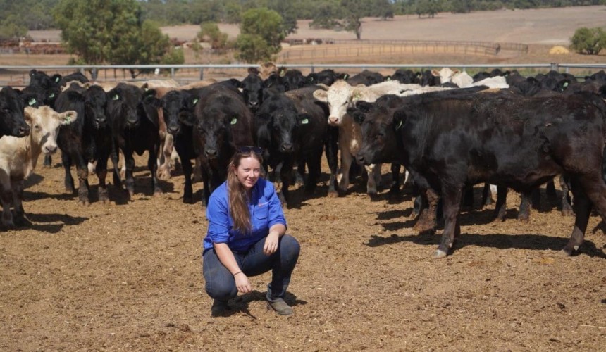 WA watching eastern states closely says young lotfeeder