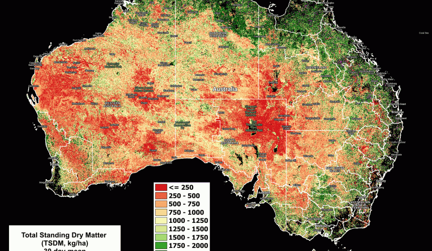 National Feedbase Summary 14 February 2024