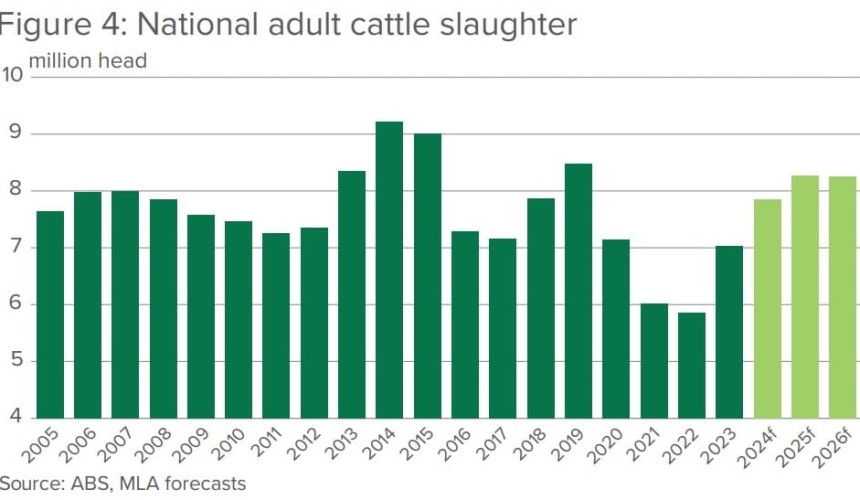 National cattle herd to ease to 28.6m says MLA’s 2024 Projections
