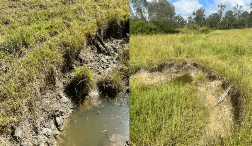 Program to monetise improving reef water quality through grazing management