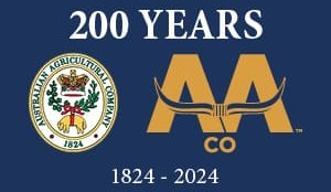 AA Co’s 2024 AGM: What was on investors’ minds?