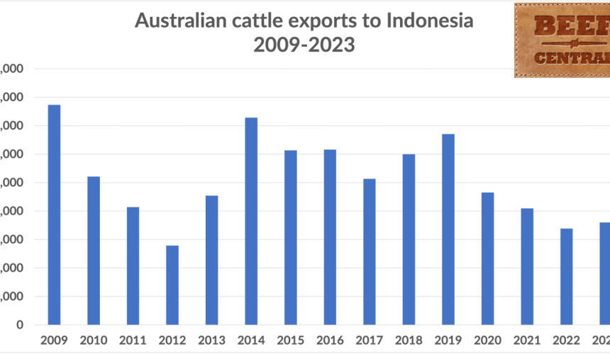 Can Australian cattle exports to Indonesia climb back to 600k head per year?