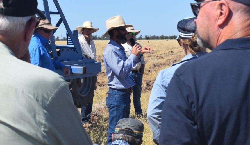Long-term legumes providing options for Southern Qld mixed farmer