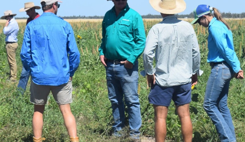 Southern Qld field days hears of upcoming legume resources + PHOTOS