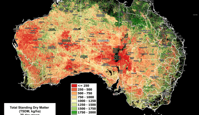 National Feedbase Summary 13 March 2024