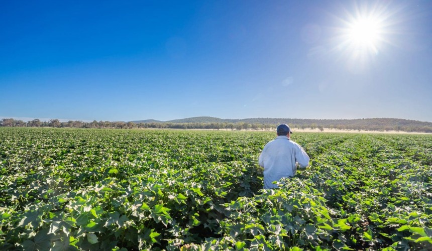 AAM’s Sunshine Farms aggregation sells to US pension fund for circa $90m