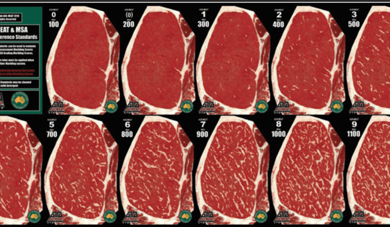 New Angus research breeding values focus on shear force, MSA marbling