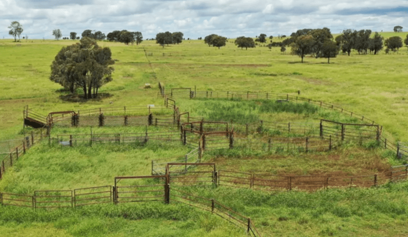 Weekly property review: Recently completed sales