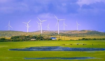 Nats push to abandon net zero as Coalition division deepens