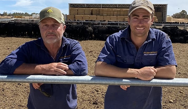 Animal wellbeing focus delivers results for WA lotfeeders