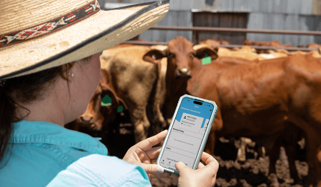 Enhanced features coming to eNVD app and web