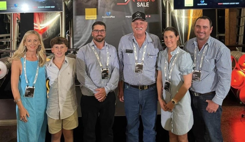Donor females sell to $130,000 at Elite Wagyu Sale