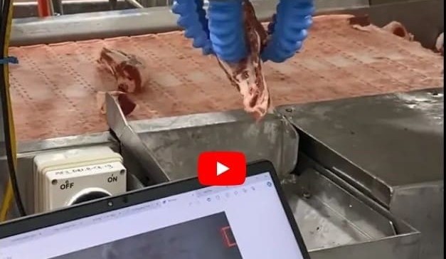Red Meat R&D Update: Shadow robots reality a step closer + VIDEO
