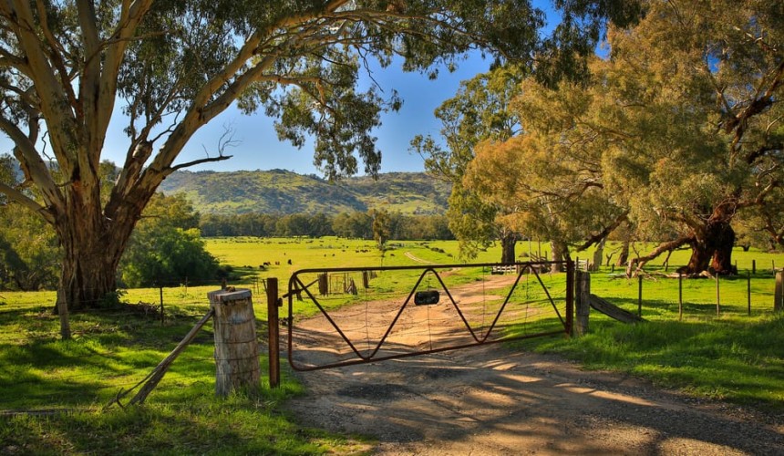 Australian farmland values record 12th year of unbroken growth