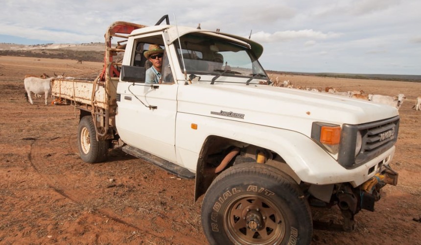 Govt assistance made available as WA drought conditions continue
