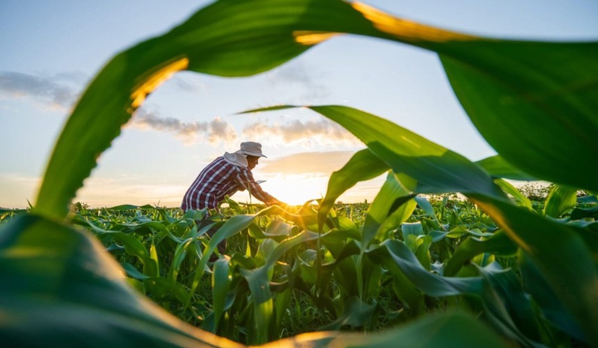 Food security and national security: neither can be taken for granted