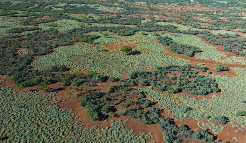 State Govt purchases Western Qld station with $21m donation