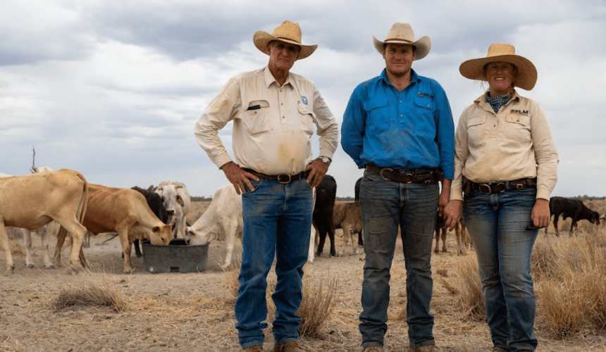 Building drought resilience into ‘Karalee’, Enngonia