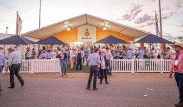 RaboResearch insights direct from the US at Rocky for Beef 2024