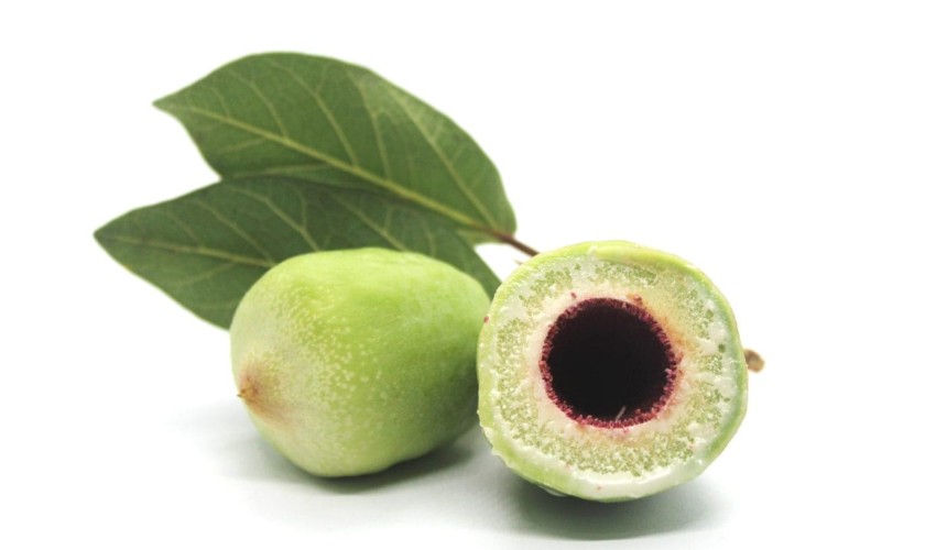 Kakadu plum: a natural alternative to preserve meat