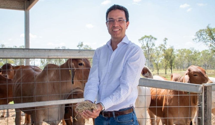 Better pre-calving nutrition boosting health outcomes in northern cattle herds