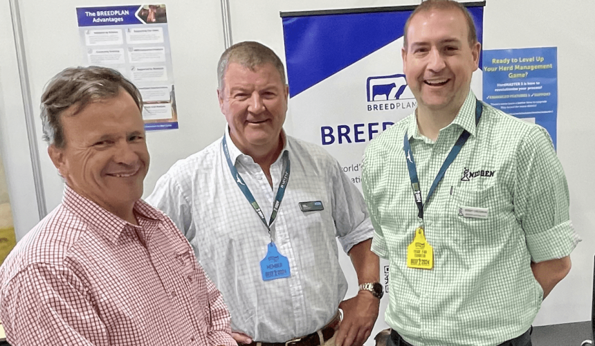 BreedPlan Select launched for commercial cattle herds