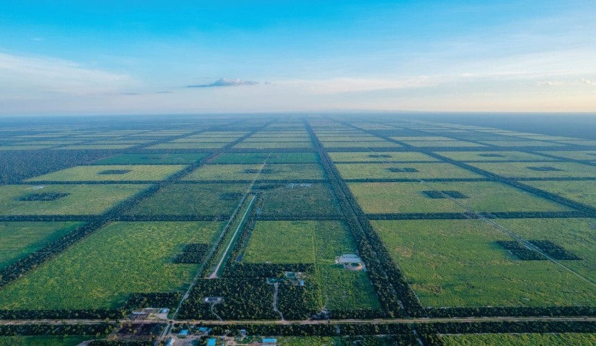 44,000ha best-in-class grassfed beef operation in Paraguay comes to the market