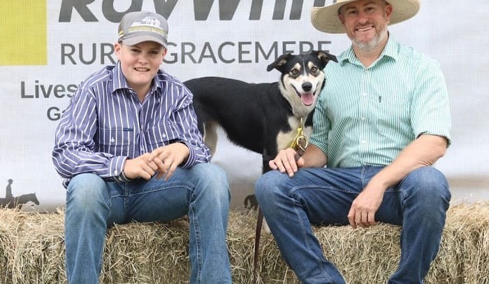 Record-priced $40,000 Border Collie was bred to rate her cattle