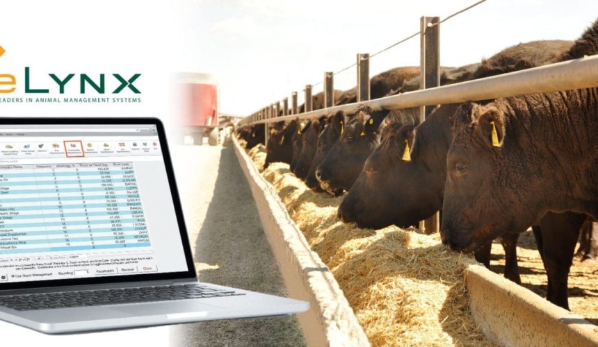 Beef 2024 exhibitor showcase: Delivering premium livestock management software
