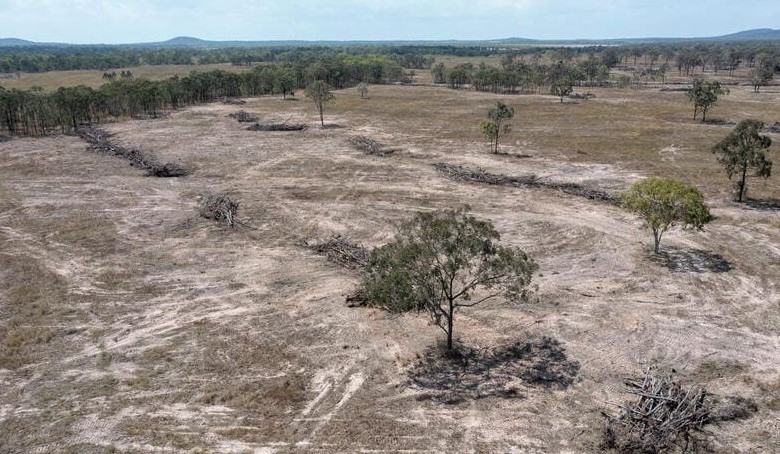 Environmental groups push for 15-year regrowth limit