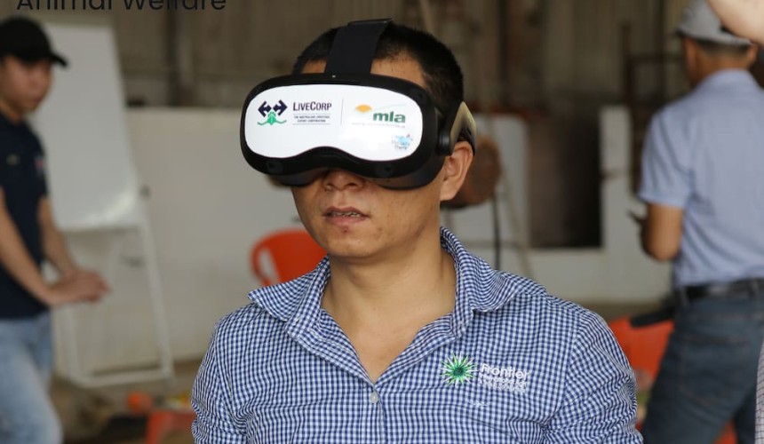 Virtual Reality boosts animal welfare training in Vietnam and Indonesia
