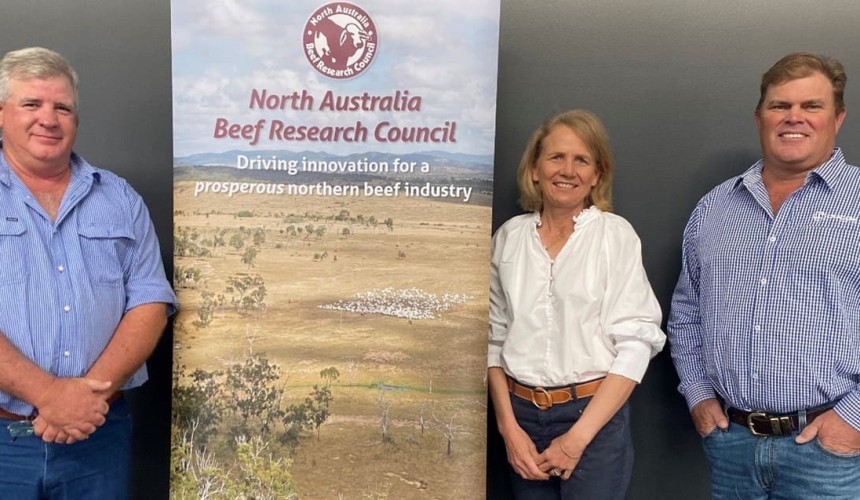 Beef 2024: NABRC and CQU team up to listen to producers’ research needs