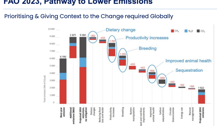 More productive livestock, not consumers eating less red meat, key to reducing emissions