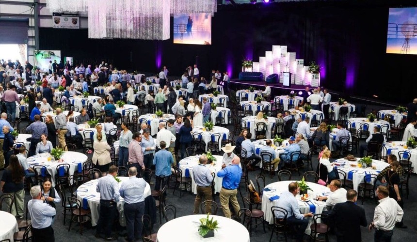 Beef 2024 reflects lack of direction on carbon