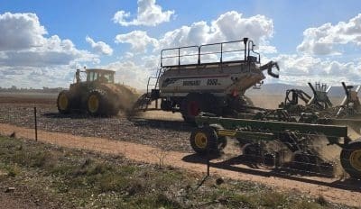 Feedgrain Focus: Traded volume lifts in south