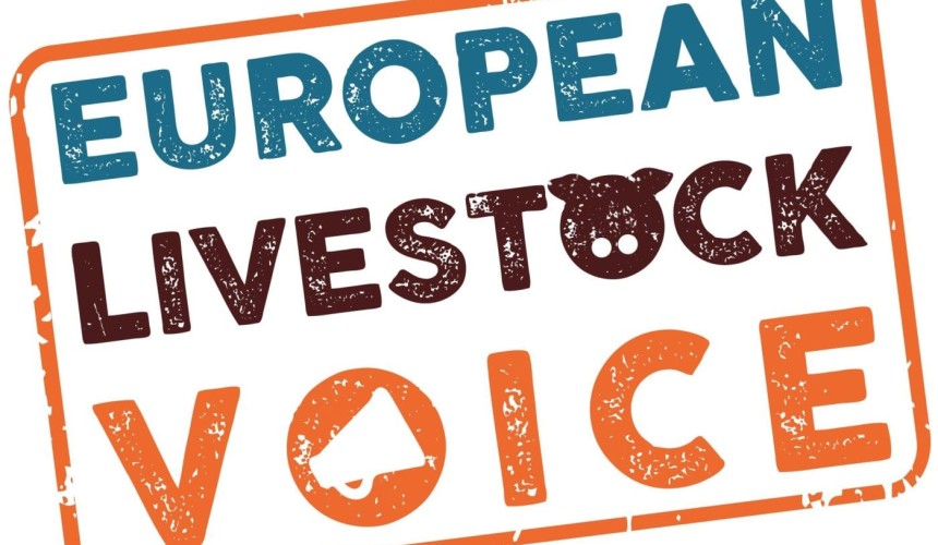 Call for essential role of livestock to be recognised in European elections