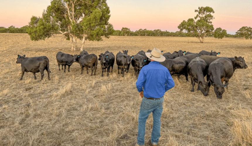 Weekly genetics review: Don’t neglect your breeding objectives next season