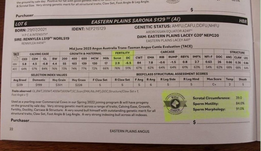 Bull Fertility: What’s a fair & reasonable ask?