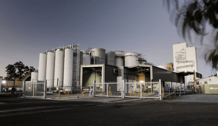 More stockfeed meal to flow as GrainCorp plans new refinery