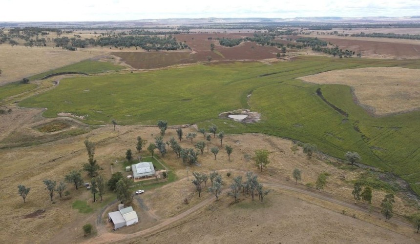 Movement at the station: Recent property listings in NSW, SA and Tasmania