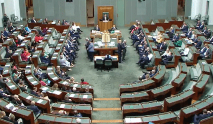 Live sheep export bill passes House of Representatives