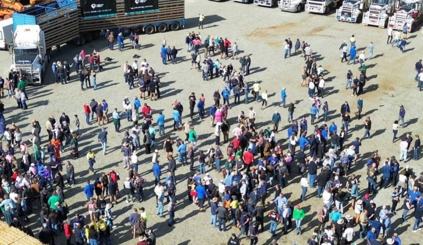 Live sheep export campaign celebrates strong survey result