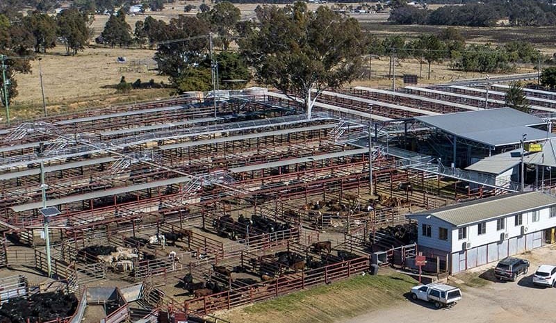 Warwick Saleyards re-development update