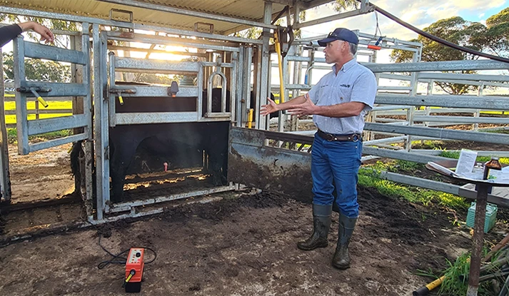 Beware of bull breakdown this sale season