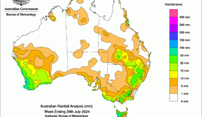 Weekly rainfall update + rainfall outlook 30 July 2024