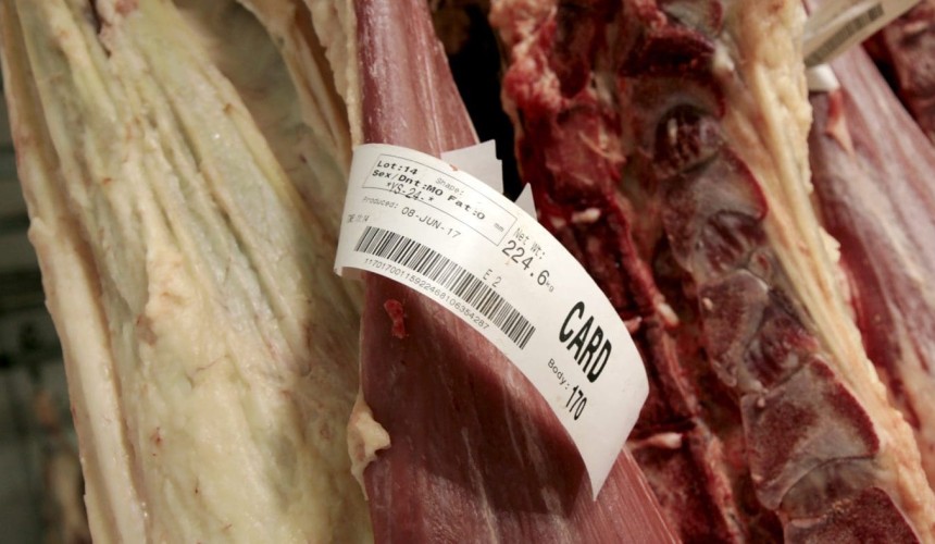 Red meat R&D: New AI technology to support beef traceability
