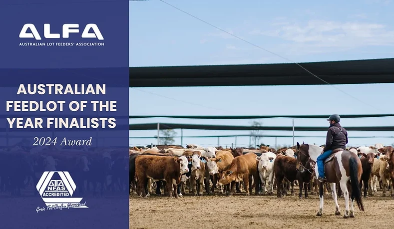 Finalists announced for Australian Feedlot of the Year Competition